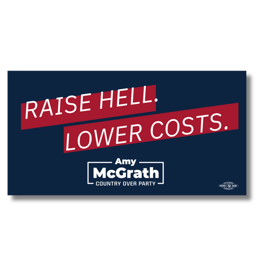 Raise Hell, Lower Costs Bumper Sticker